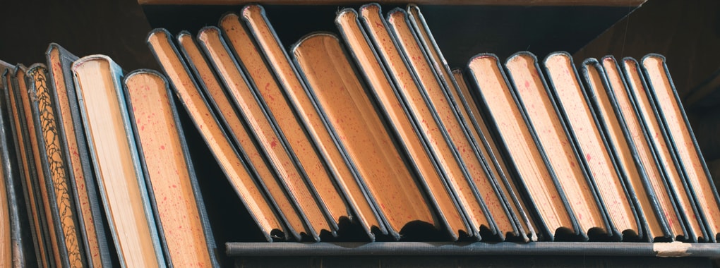 Anees Hussain